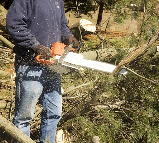 BEST TREE REMOVAL SERVICE IN ONTARIO CA